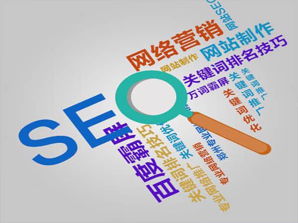武川SEO排名公司:助力企业卓越于搜索引擎之巅